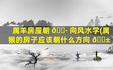 属羊房屋朝 🌷 向风水学(属猴的房子应该朝什么方向 🐱 )